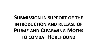 Dryland farmers in North Canterbury grow Lucerne to mitigate  drought effects  Horehound