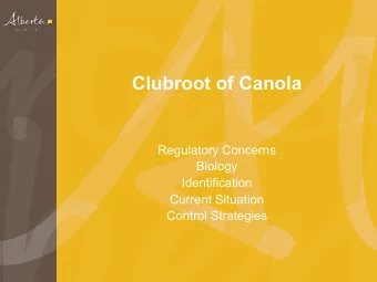 Clubroot of Canola  Regulatory Concerns  Biology  Identification  Current Situation  Control