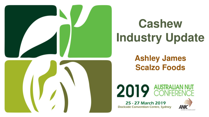 cashew industry update