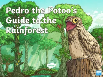 Its me: Pedro the potoo! I am Pedro the potoo from the story Rainforest  Calling. Im