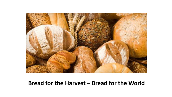 bread for the harvest bread for the world the bread of