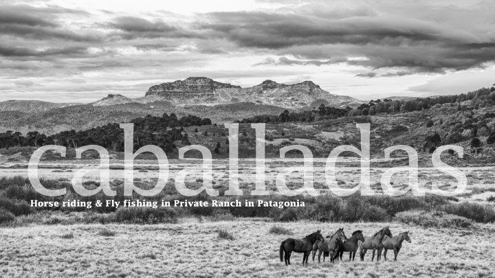 horse riding fly fishing in private ranch in patagonia