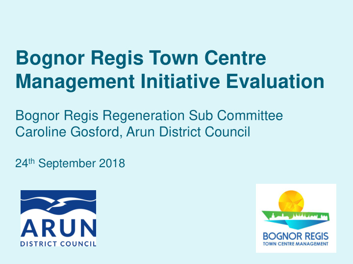 bognor regis town centre management initiative evaluation