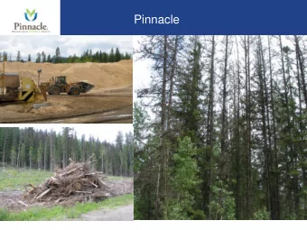 Pinnacle  0  What it looked like before  1 Pinnacle  3 decades of growth  Period  Activity  Late