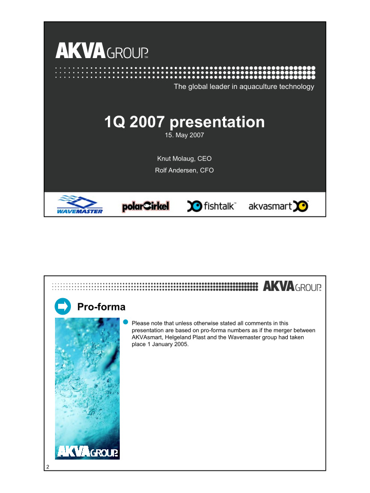 1q 2007 presentation