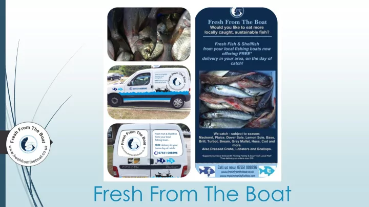 fresh from the boat who are we and where did we start our