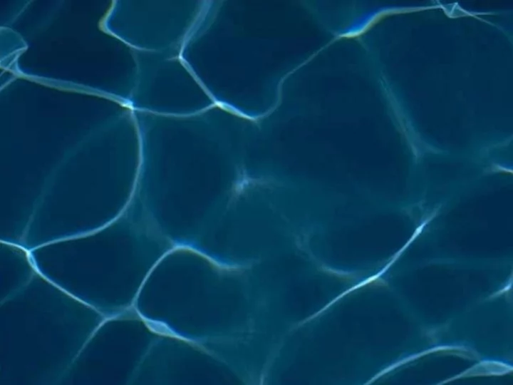 chemical cues in the ocean