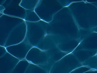 Chemical Cues in the Ocean  Julia Kubanek  Assistant Professor  School of Biology  and School of