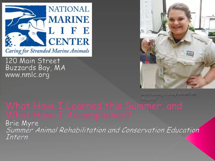 brie holding a baby american alligator