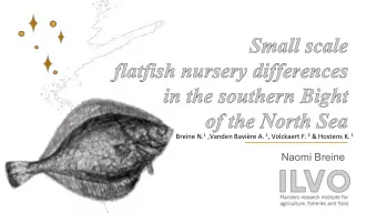Naomi Breine  1.  Introduction  Sampling  13 stations  Sampled monthly  2 years (2013-2014)