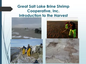 Introduction to the Harvest  Great Salt Lake Brine Shrimp Cooperative, Inc.  Introduction to the