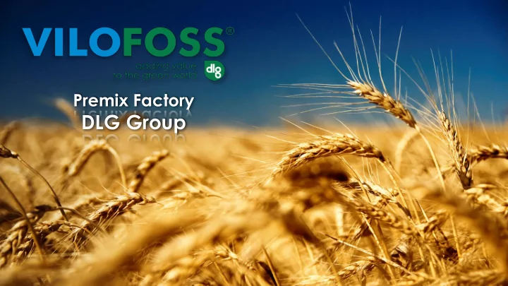 dlg group vilofoss group