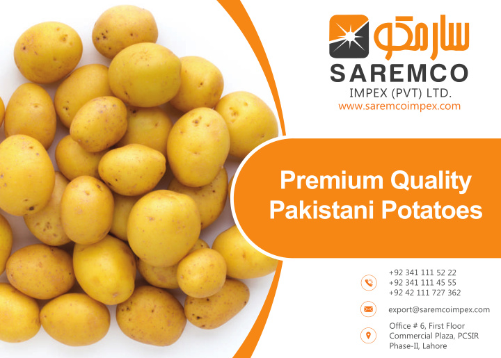 premium quality pakistani potatoes