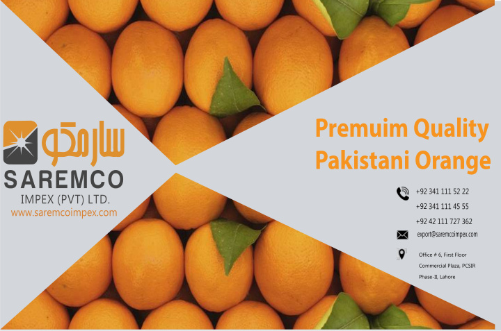 premuim quality pakistani orange