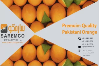 Premuim Quality  Pakistani Orange  +92 341 111 52 22  IMPEX (PVT) LTD.  +92 341 111 45 55
