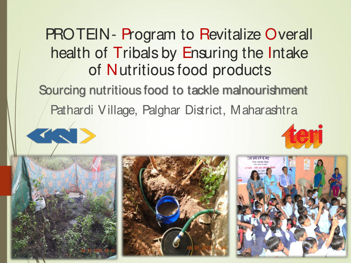 protein program to revitalize overall
