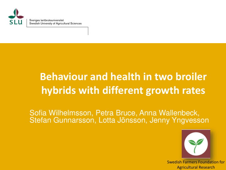 behaviour and health in two broiler hybrids with