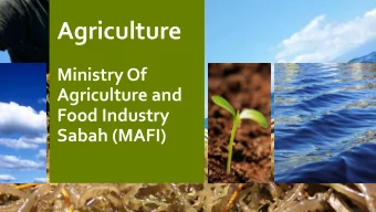 Agriculture  Ministry Of  Agriculture and  Food Industry  Sabah (MAFI)  MINISTER OF AGRICULTURE
