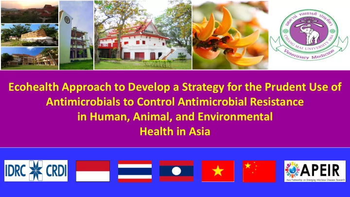 ecohealth approach to develop a strategy for the prudent