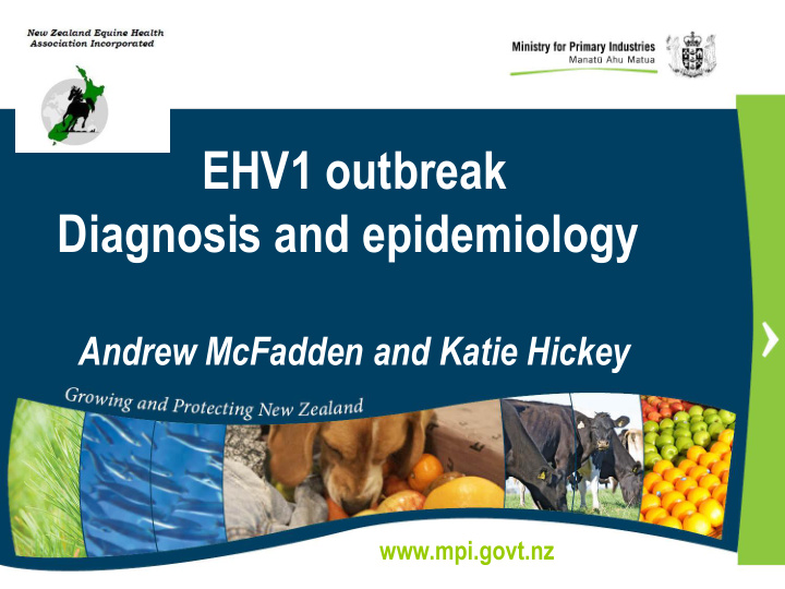 ehv1 outbreak diagnosis and epidemiology