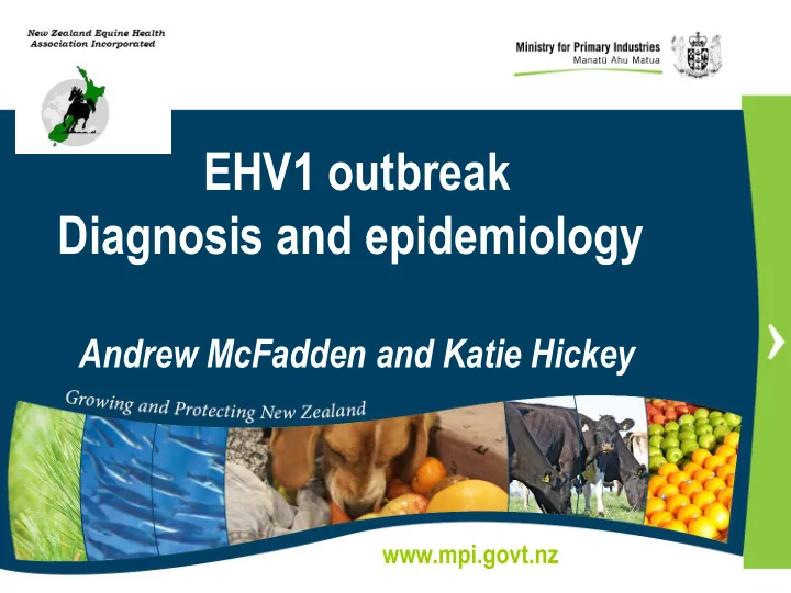 ehv1 outbreak diagnosis and epidemiology