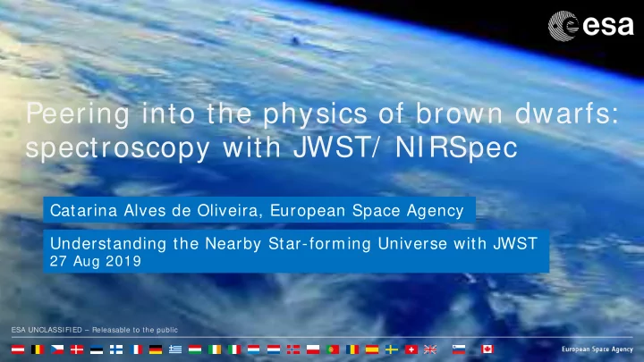 peering into the physics of brown dwarfs spectroscopy