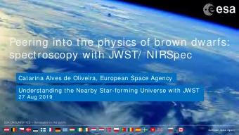 Peering into the physics of brown dwarfs:  spectroscopy with JWST/  NIRSpec  Catarina Alves de