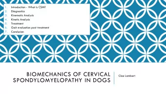 BIOMECHANICS OF CERVICAL  Cloe Lambert  SPONDYLOMYELOPATHY IN DOGS  WHAT IS CERVICAL