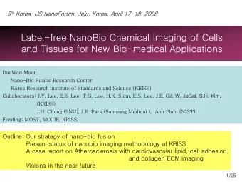 Label-free NanoBio Chemical Imaging of Cells  and Tissues for New Bio-medical Applications  DaeWon