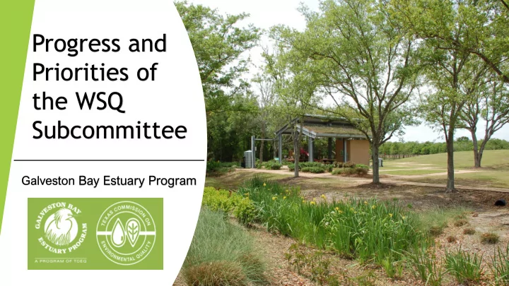 progress and priorities of the wsq subcommittee