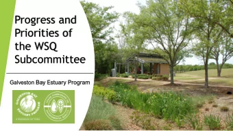 Progress and  Priorities of  the WSQ  Subcommittee Galveston Bay Estuary Program  The Galveston Bay