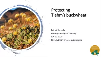 Protecting  Tiehms buckwheat  Patrick Donnelly  Center for Biological Diversity  July 20, 2020