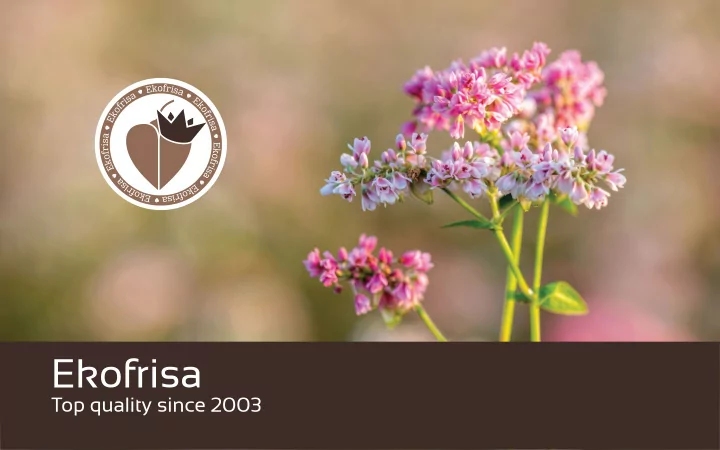 ekofrisa