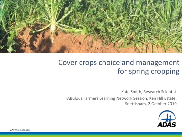 cover crops choice and management