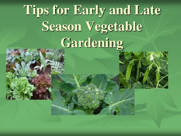 tips for early and late season vegetable gardening today