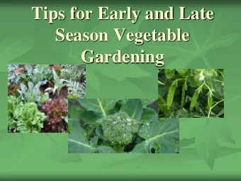 Tips for Early and Late  Season Vegetable  Gardening  Todays Focus:  Direct seeding or