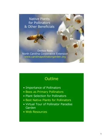 for Pollinators  &amp; Other Beneficials  Debbie Roos  North Carolina Cooperative Extension