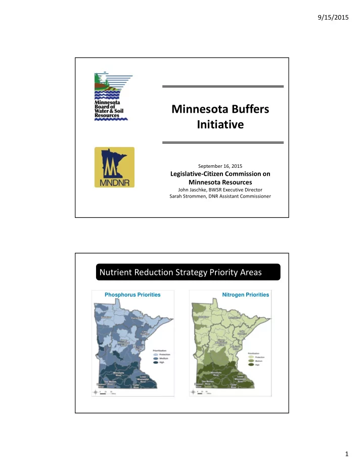 minnesota buffers initiative