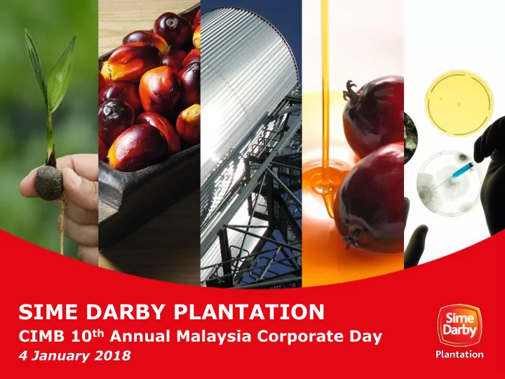 sime darby plantation