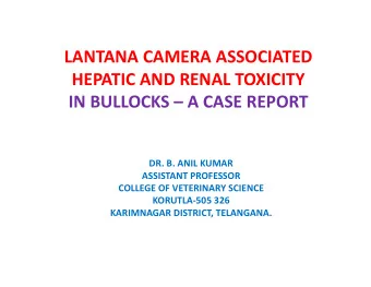 LANTANA CAMERA ASSOCIATED  HEPATIC AND RENAL TOXICITY  IN BULLOCKS  A CASE REPORT  DR. B. ANIL