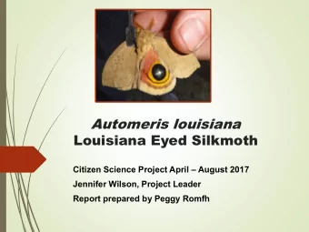 Automeris louisiana  Louisiana Eyed Silkmoth Citizen Science Project April  August 2017