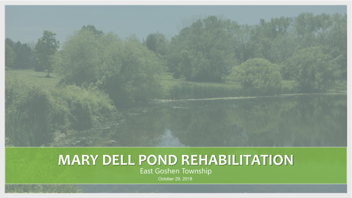 mary dell pond rehabilitation