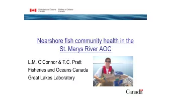 Nearshore fish community health in the  St. Marys River AOC  L.M. OConnor &amp; T.C. Pratt