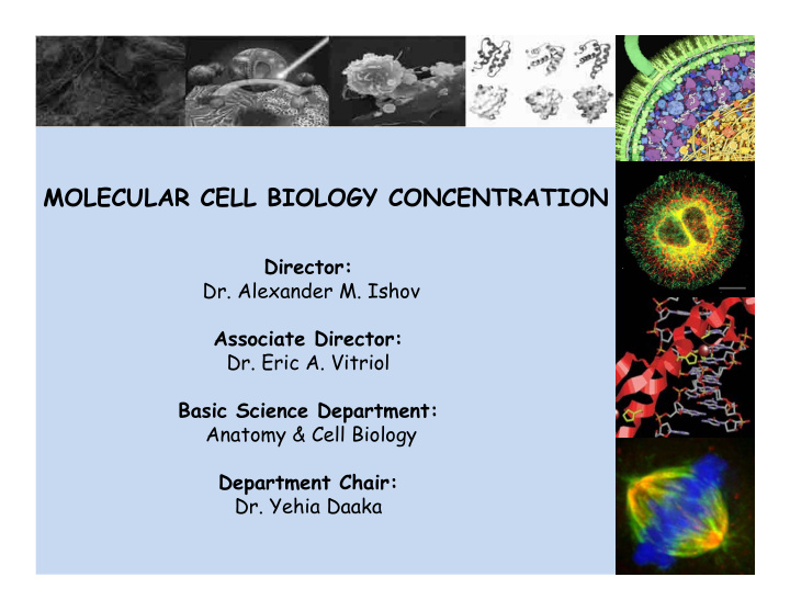 molecular cell biology concentration