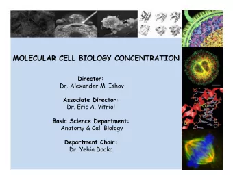 MOLECULAR CELL BIOLOGY CONCENTRATION  Director:  Dr. Alexander M. Ishov  Associate Director:  Dr.