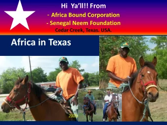 Africa in Texas  SHEA BUTTER The African Womans Gold Sngal at the crossroads for business