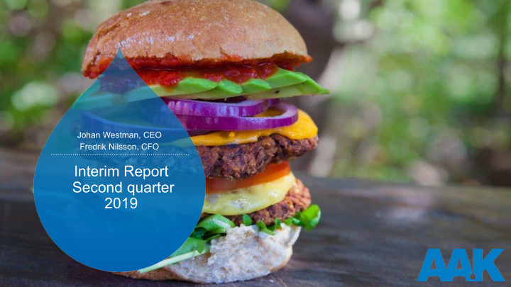 interim report second quarter 2019