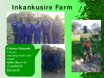 Inkankusire Farm  Clemens Makumbi  I am an  emerging small scale  farmer under 2ha in the  ZAMBEZI