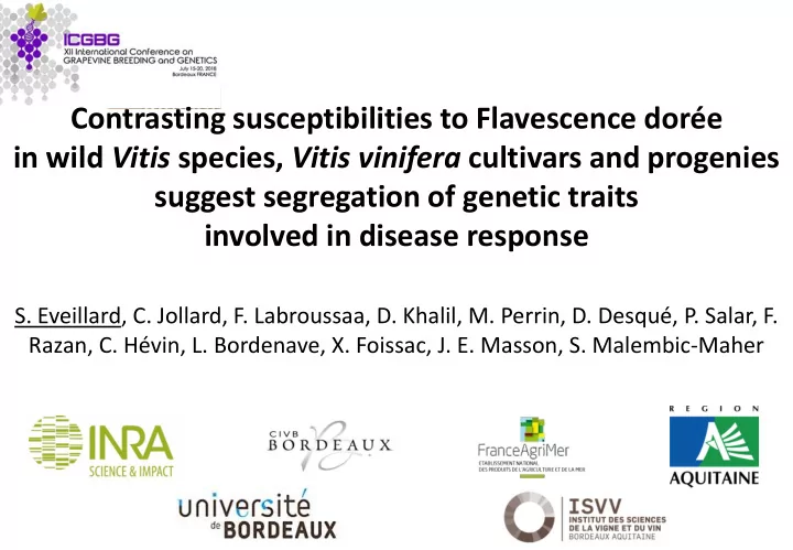 contrasting susceptibilities to flavescence dor e