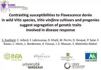 Contrasting susceptibilities to Flavescence dore in wild Vitis species, Vitis vinifera cultivars